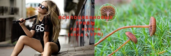амф Балахна