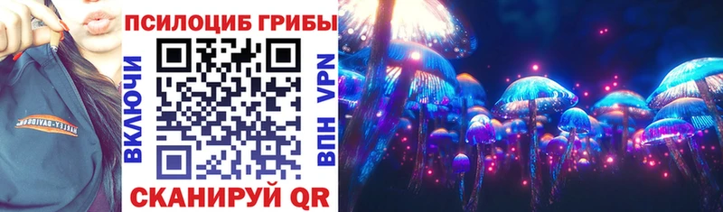 Псилоцибиновые грибы GOLDEN TEACHER Грязи